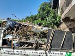 Best Demolition Debris Removal  in , HI